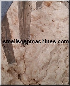 Pilot Saponification Plant